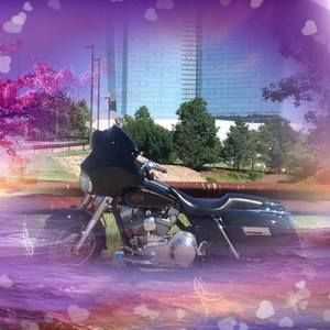 Meet your Posher, Travis